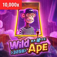 Chương trình hoàn trả casino hàng tuần